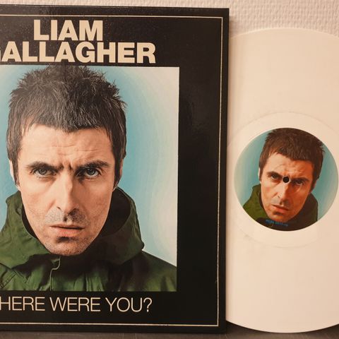 28326 Gallahger, Liam - Where Were You? (white vinyl) - LP