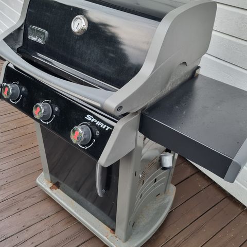 Gassgrill weber