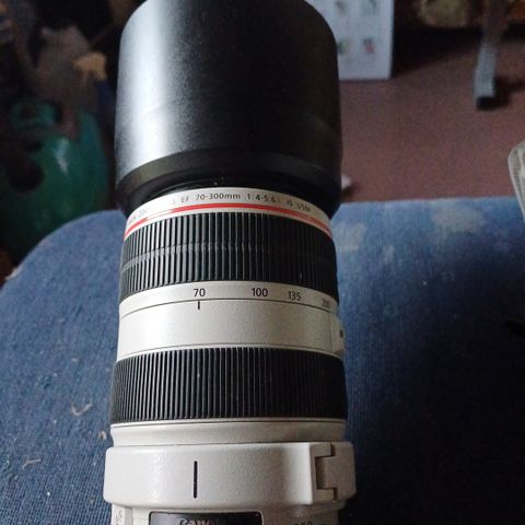 Canon ef 70×300.Selges billig.