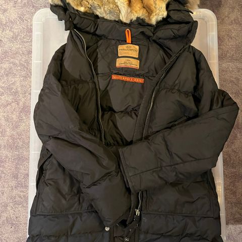 Parajumpers XS