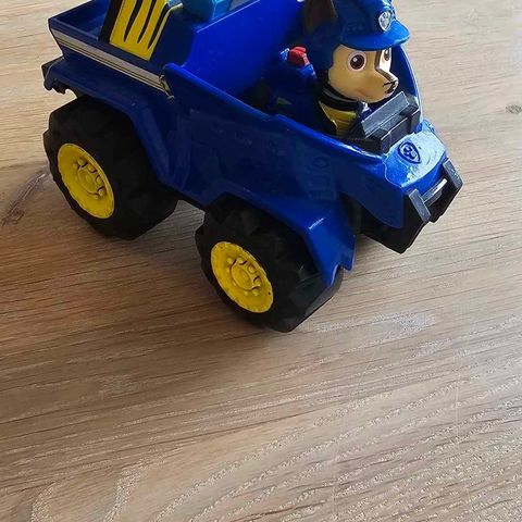 Paw patrol chase