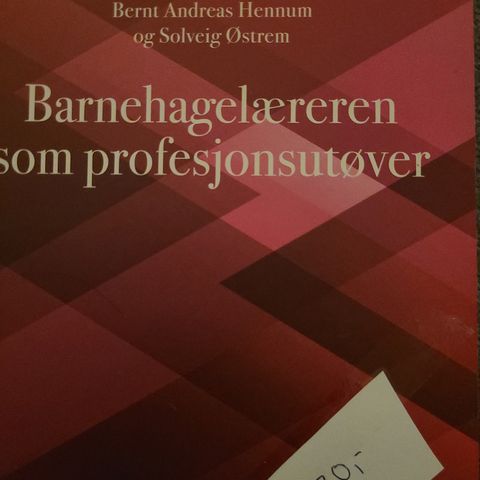 Barnehagelæreren som profesjonsutøver. Barnehagelærerstudie