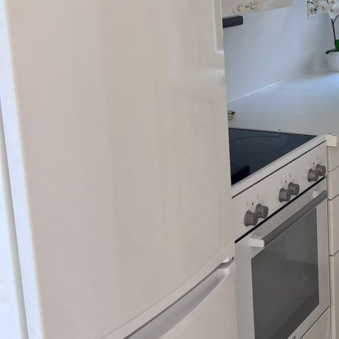 Zanussi Kombi Kjøleskap (reservert)