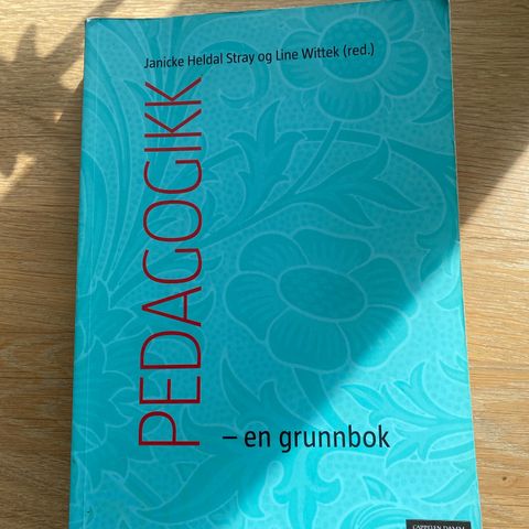 Pedagogikk - en grunnbok