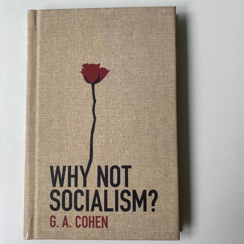 Why not socialism?