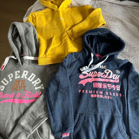 Superdry, Holzweiler og Gant gensere