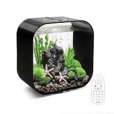 Akvarium Biorb 30 liter