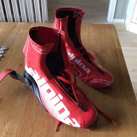 Alpina elite pro skate