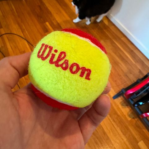 Myk tennisball