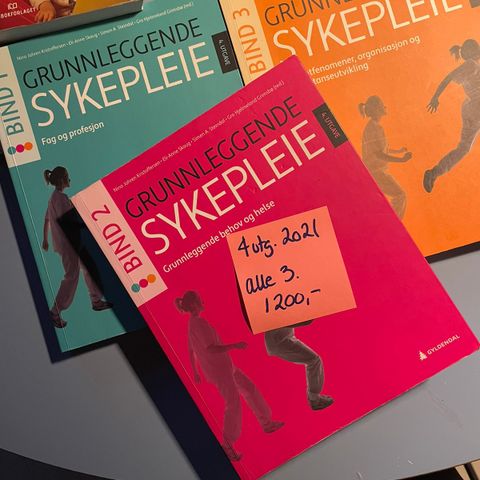 Grunnleggende sykepleie 1-3