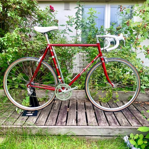 Vintage Eddy Merckx landeveissykkel