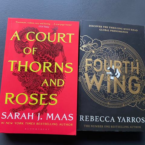 A court of thorns and roses, Fourth wing