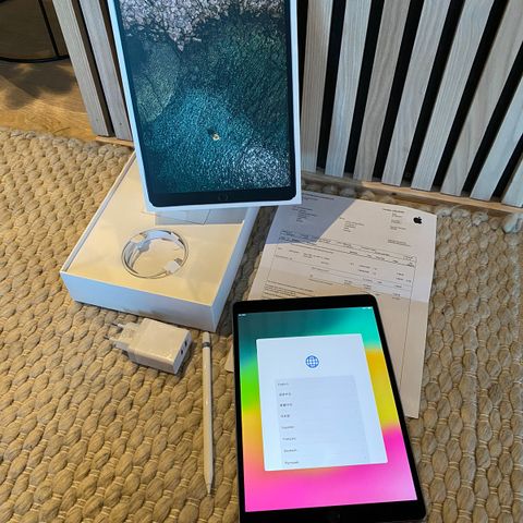 iPad Pro 256gb wifi+4G Apple Pencil