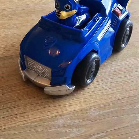 Paw patrol chase