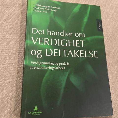 Det handler om verdighet og deltakelse