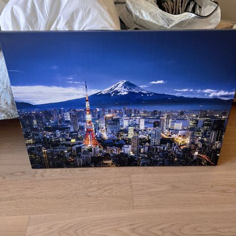 Lerretsbilde Tokyo - 100x75