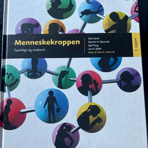 Menneskekroppen