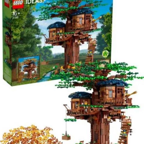 LEGO Ideas 16+ 21318