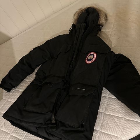 Canada goose expedition