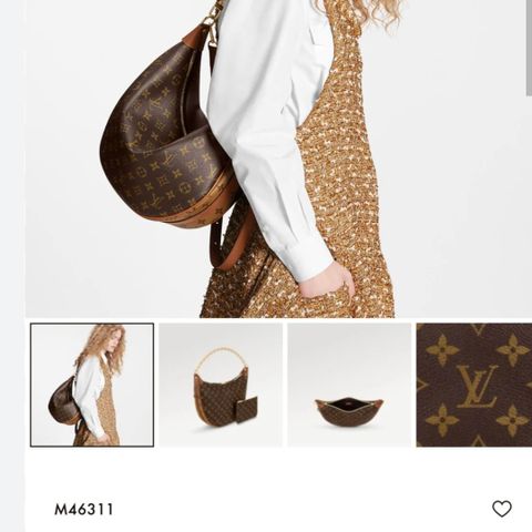 Louis vuitton loop hobo bag