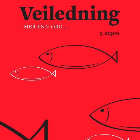 Veiledning - mer enn ord