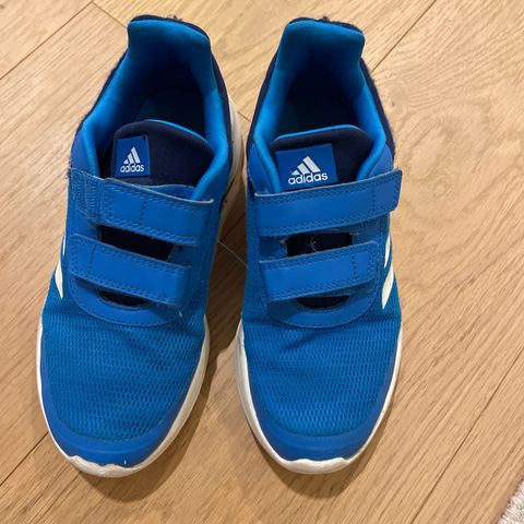 Adidas sko- blå