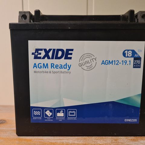 Exide AGM12