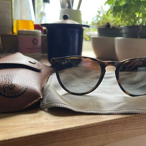 Ray-Ban Erika polarisert