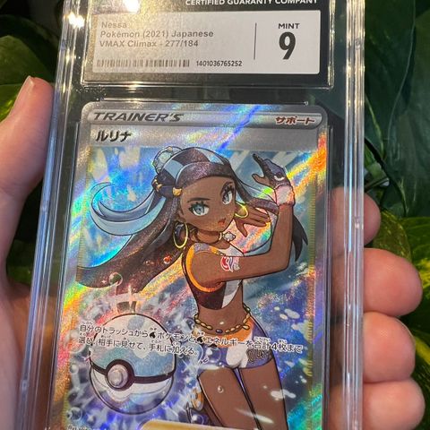 CGC 9 Nessa #277 Pokemon