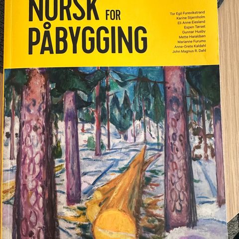 Norsk for Påbygging