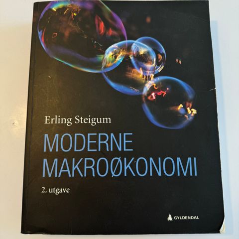 Moderne Makroøkonomi, Steigum, 2. utgave