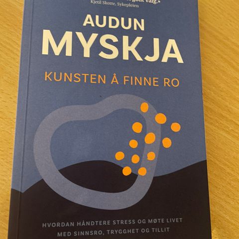 Kunsten å finne ro - Audun Myskja