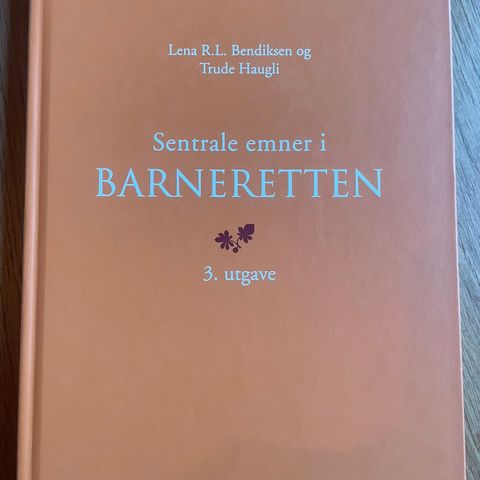 Sentrale emner i barneretten