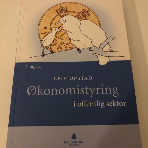 Økonomistyring i offentlig sektor