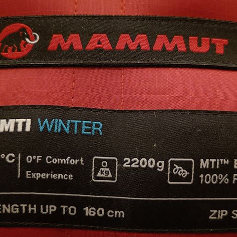 Mammut Ajungilak Tyin MTI Winter 160