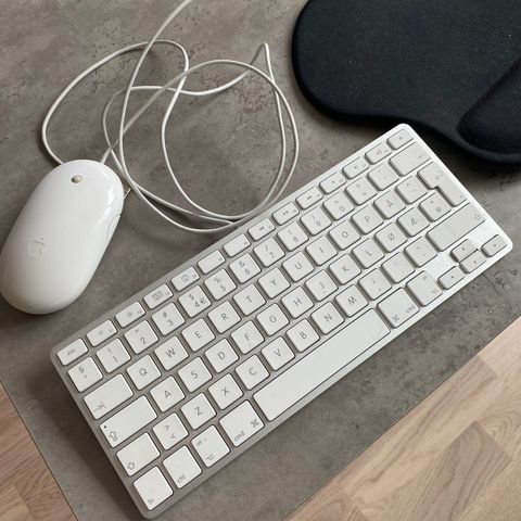 Apple- tastatur og mus