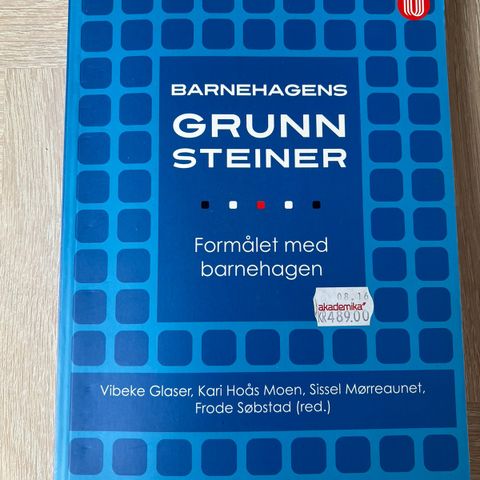 Barnehagens grunnsteiner - formålet med barnehagen