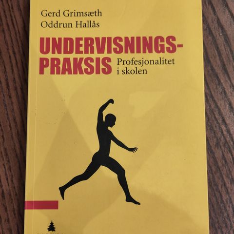 Undervisnings praksis - Gerd Grimsæth og Oddrun Hallås