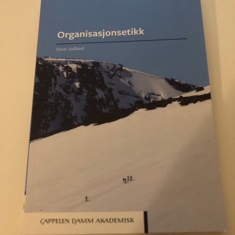 Organisasjonsetikk