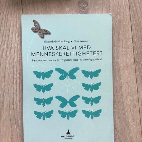 Hva skal vi med menneskerettigheter