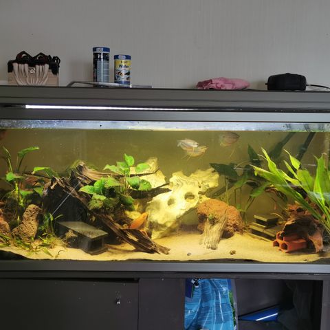 350 liter akvarie