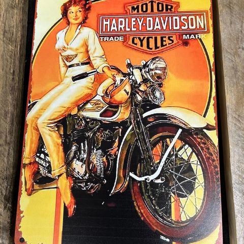 Harley Davidson Tynt Alu Skilt 20X30 cm. Bar, Dekor, Garasje