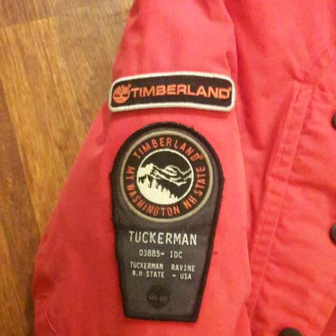 Timberland dunparkas str M