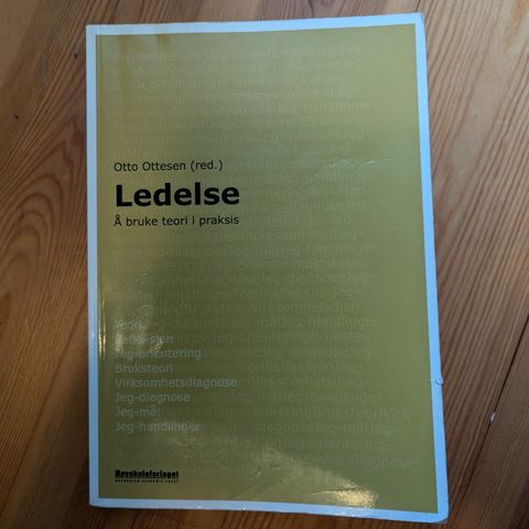 Ledelse - å bruke teori i praksis