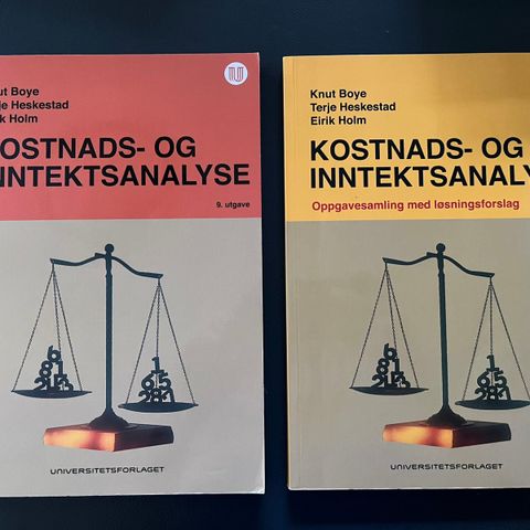 Bedriftsøkonomi: Kostnads- og Inntektsanalyse