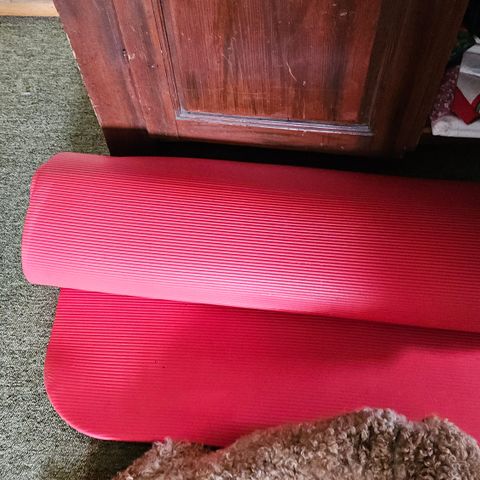 Airex treningsmatte / yogamatte