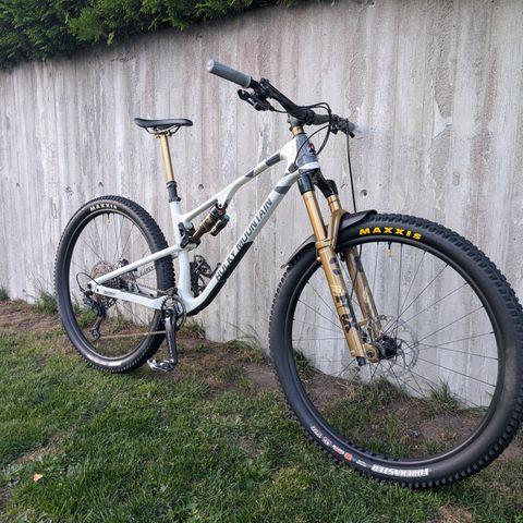 Custom Rocky Mountain Element (medium)