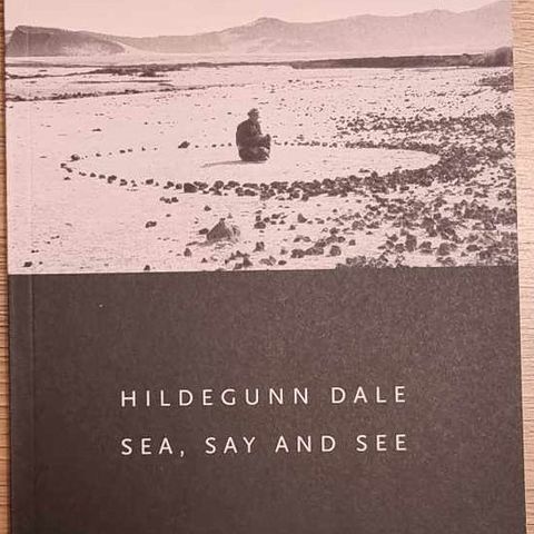 Hildegunn Dale "Sea, Say and See" Bok