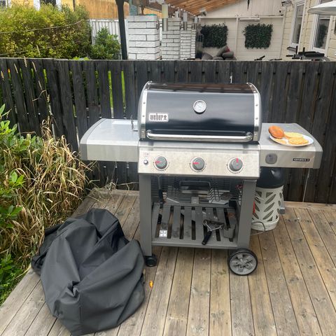 Weber genesis 2