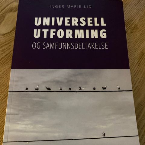 Universell utforming og samfunnsdeltakelse